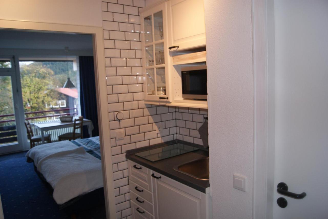 Bergblick471 Appartement Goslar Buitenkant foto