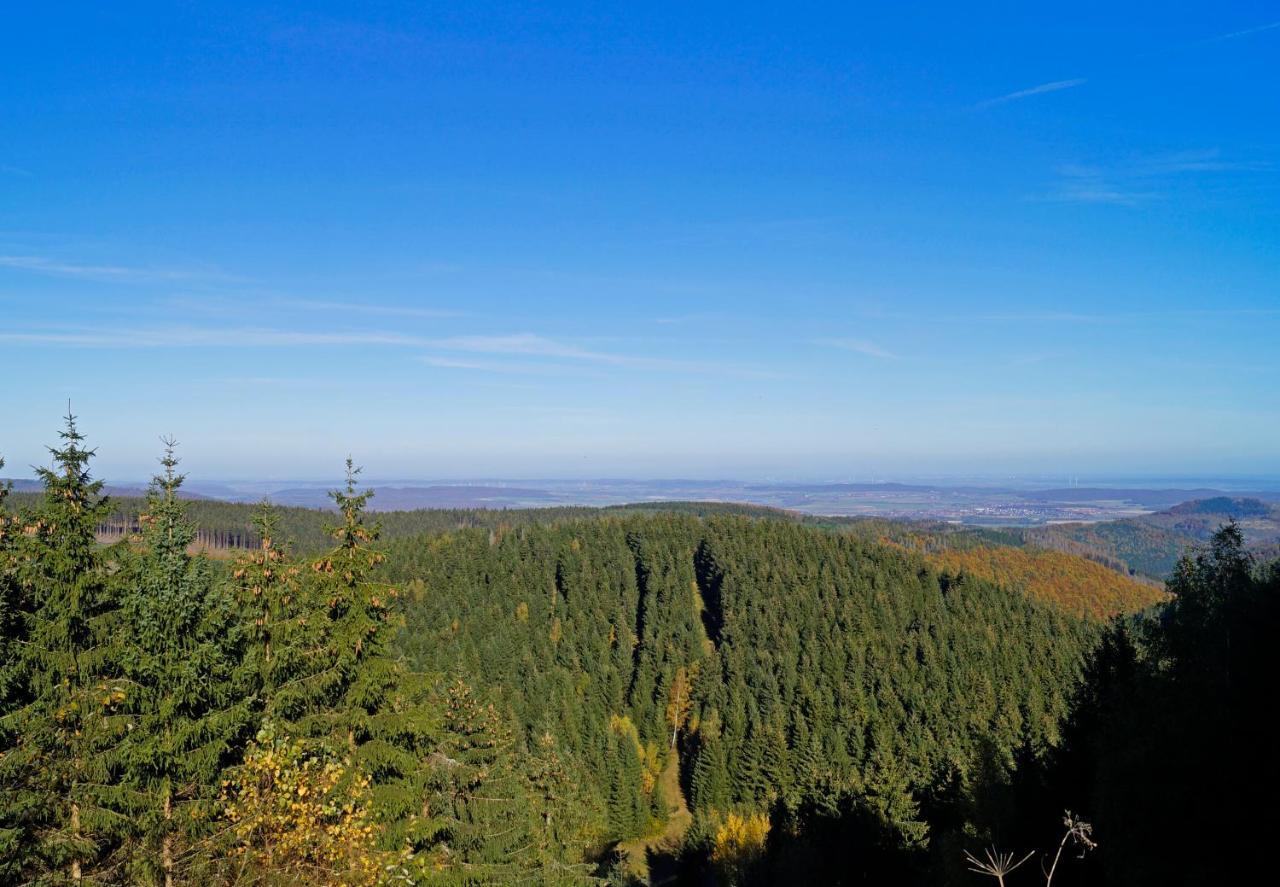 Bergblick471 Appartement Goslar Buitenkant foto